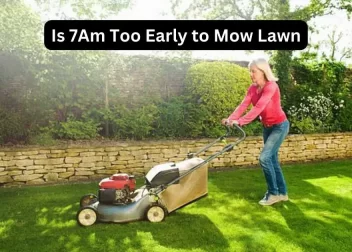 Mow Your Lawn Early in the Morning