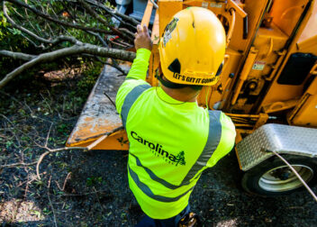 Commercial Tree Services