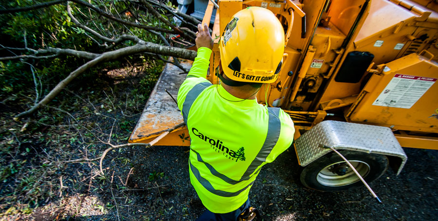 Commercial Tree Services