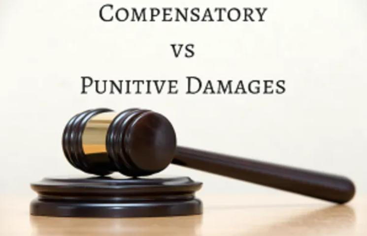 Punitive and Compensatory
